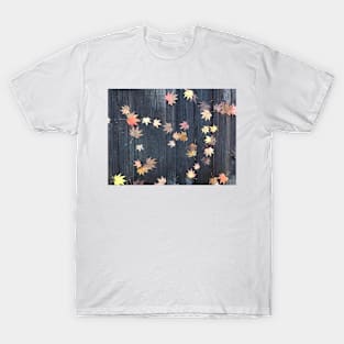 The Path Forward is Paved with Leaves of Glorious Fall Color T-Shirt